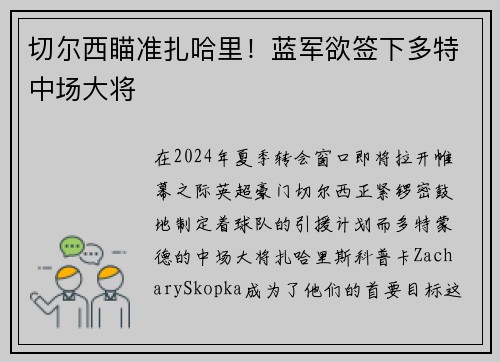 切尔西瞄准扎哈里！蓝军欲签下多特中场大将