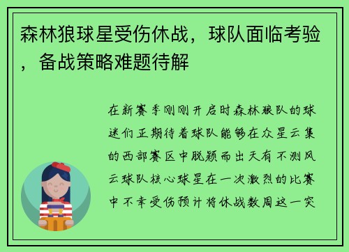 森林狼球星受伤休战，球队面临考验，备战策略难题待解